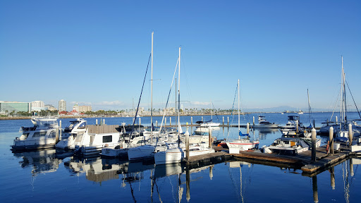 Shoreline Marina Fuel Dock