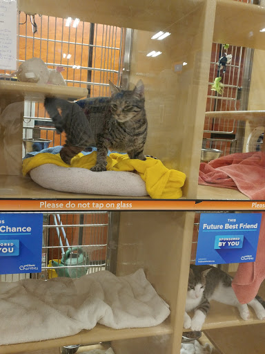 Pet Supply Store «PetSmart», reviews and photos, 950 Hanes Mall Blvd, Winston-Salem, NC 27103, USA