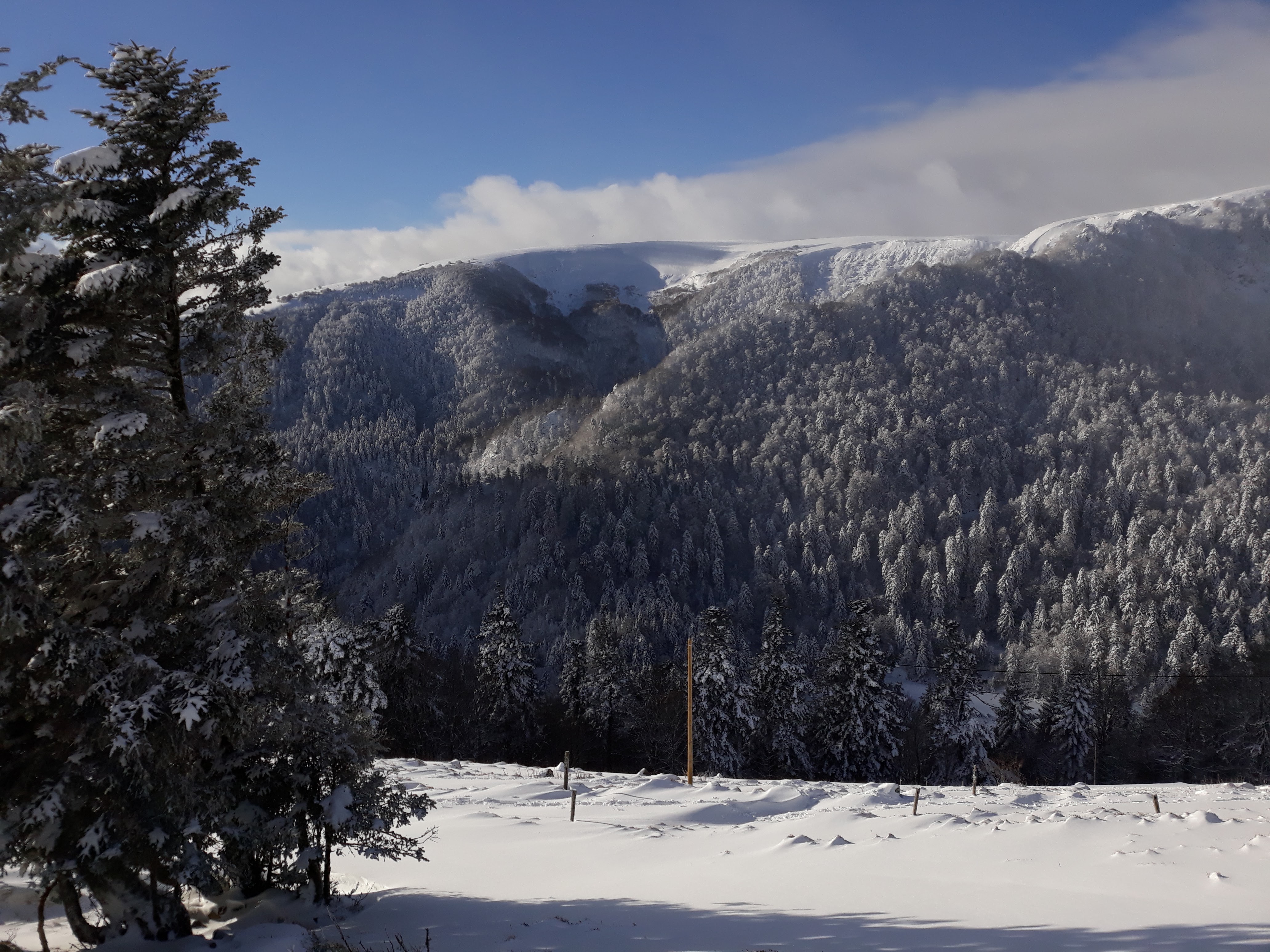 Photo n° 2 de l'avis de Angela.a fait le 17/12/2017 à 18:33