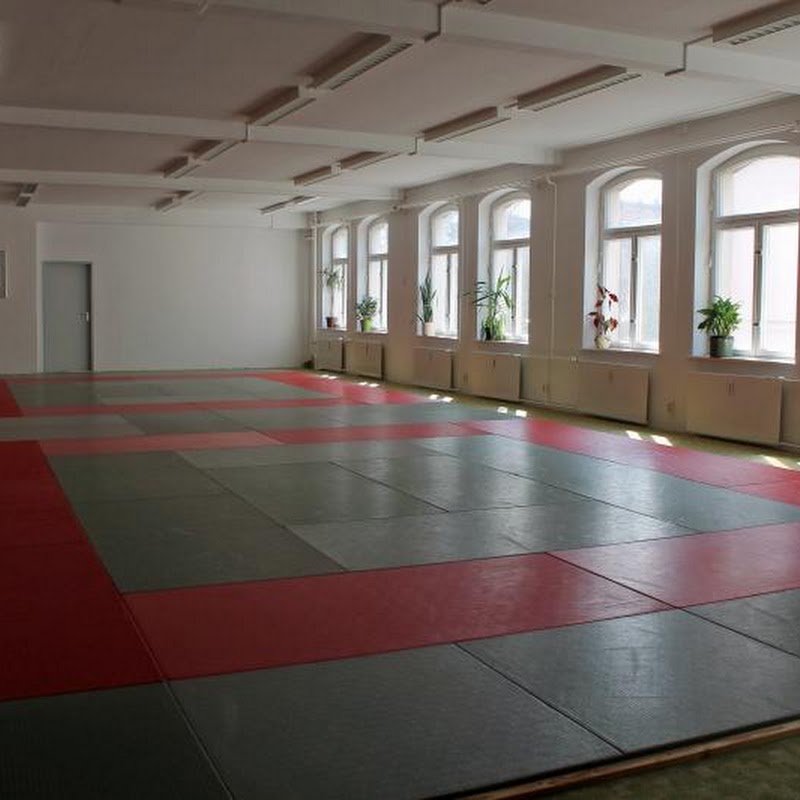 CPSV Kampfkunst-Dojo