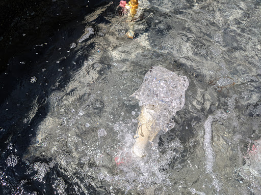 Botanical Garden «Heathcote Botanical Gardens», reviews and photos, 210 Savannah Rd, Fort Pierce, FL 34982, USA