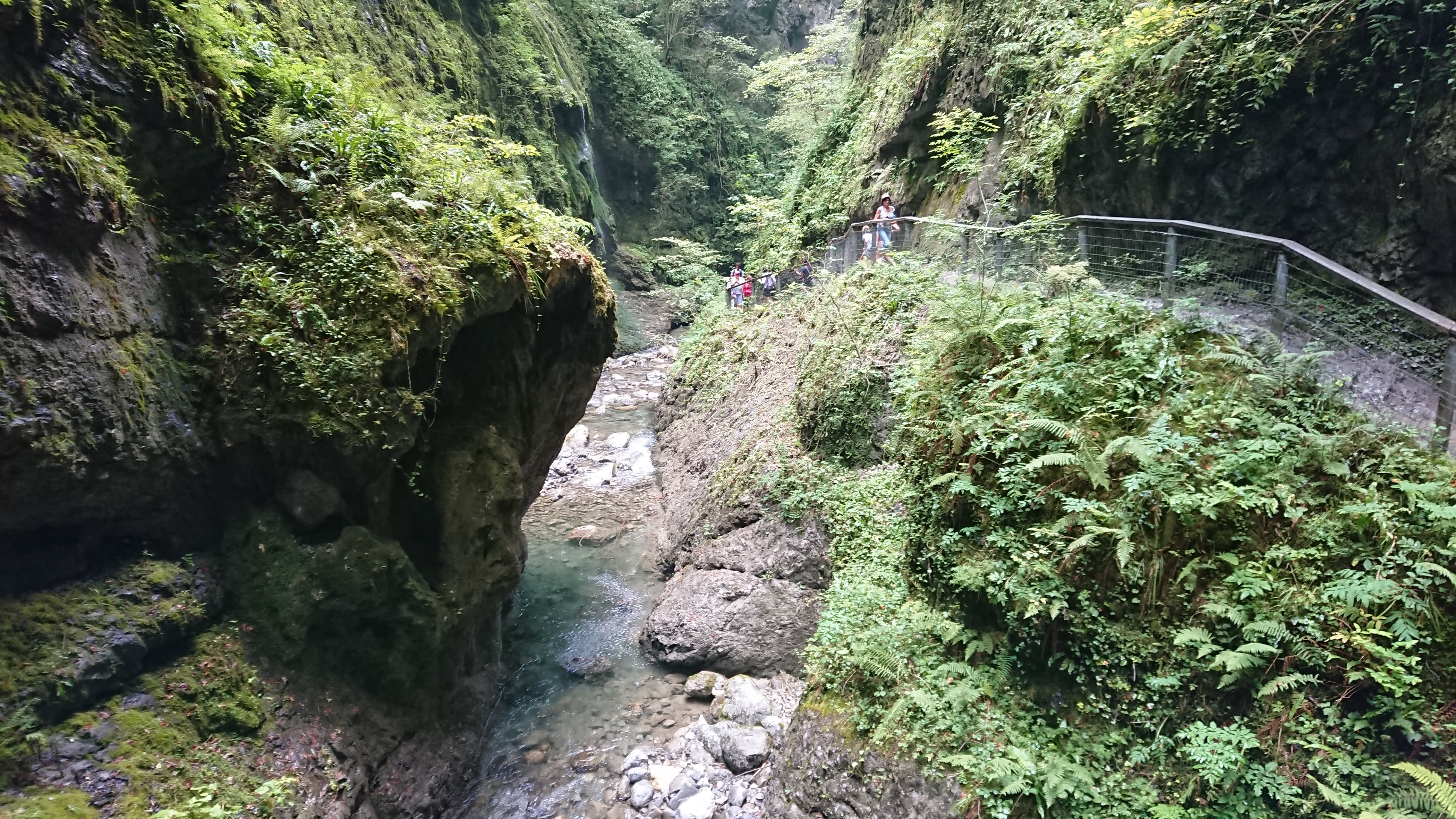 Photo n° 19 de l'avis de ALAIN.O fait le 19/08/2018 à 12:52