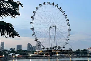 Singapore Flyer image
