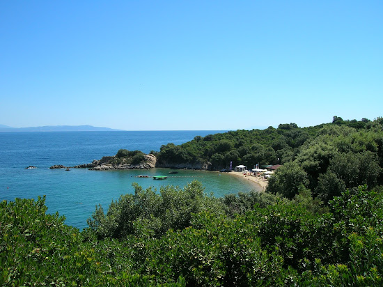 Paralia Vinia