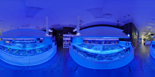 Tropical Fish Store «Pure Reef», reviews and photos, 12900 GA-9, Alpharetta, GA 30004, USA