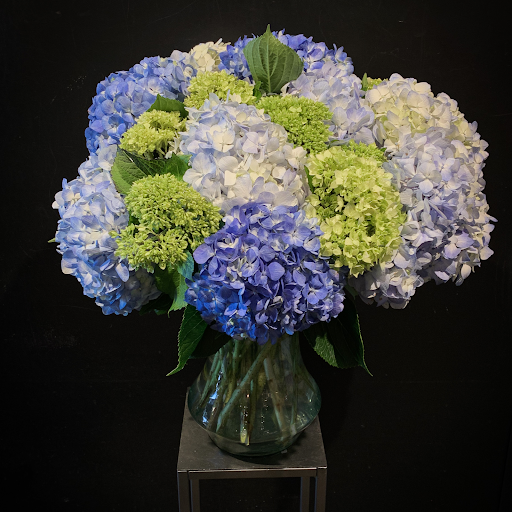 Florist «Garden Delights Fine Florist», reviews and photos, 2179 Hillsboro Rd, Franklin, TN 37069, USA