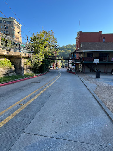 Explore birth flowers tattoo ideas, creative tattoo ideas in Eureka Springs, available at Abyss Tattoo