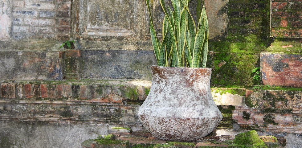 Vietnam Pottery Manufacturer - Lam Thanh Pottery