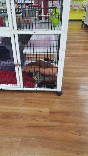 Pet Supply Store «Pet Supermarket, Inc.», reviews and photos, 18445 US-41, Lutz, FL 33549, USA