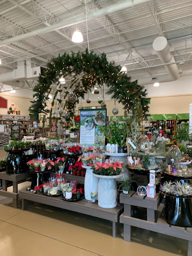 Garden Center «Pike Nurseries», reviews and photos, 615 W Crossville Rd, Roswell, GA 30075, USA