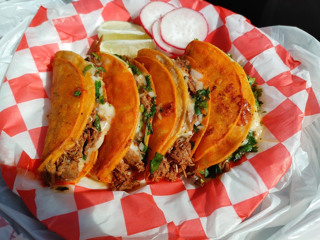 El Tacos Tao 01 01109