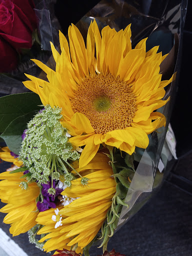 Grocery Store «H-E-B Grocery», reviews and photos, 209 N Texas Ave, Mercedes, TX 78570, USA