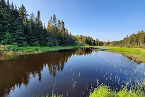 Finland State Forest image