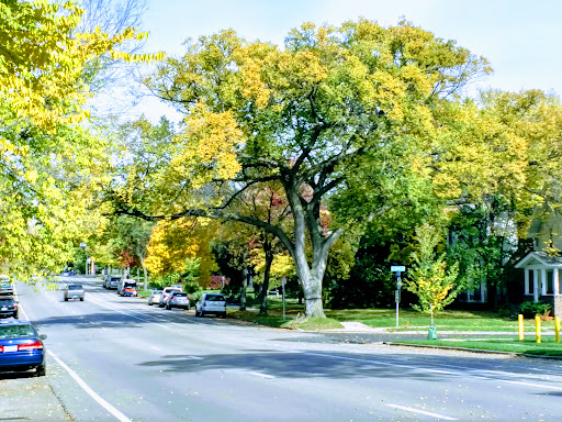 Park «Phelps Field Park», reviews and photos, 701 E 39th St, Minneapolis, MN 55407, USA