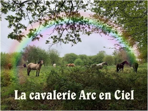 Centre équestre La cavalerie Arc-en-ciel Plaintel