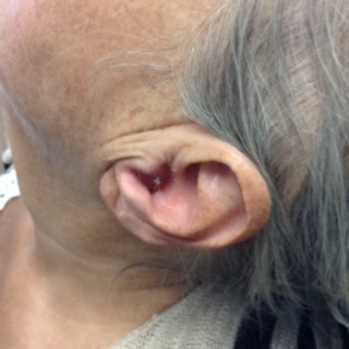 Explore underdog tattoo ideas, creative tattoo ideas in Seymour, available at American Gypsy Tattoo Corp.