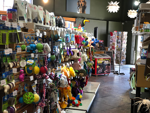Pet Supply Store «The Urban Pet», reviews and photos, 7515 Beverly Blvd, Los Angeles, CA 90036, USA