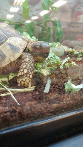 Pet Supply Store «Petco Animal Supplies», reviews and photos, 2204 Harlem Ave, North Riverside, IL 60546, USA