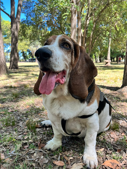 Cuidador de mascotas