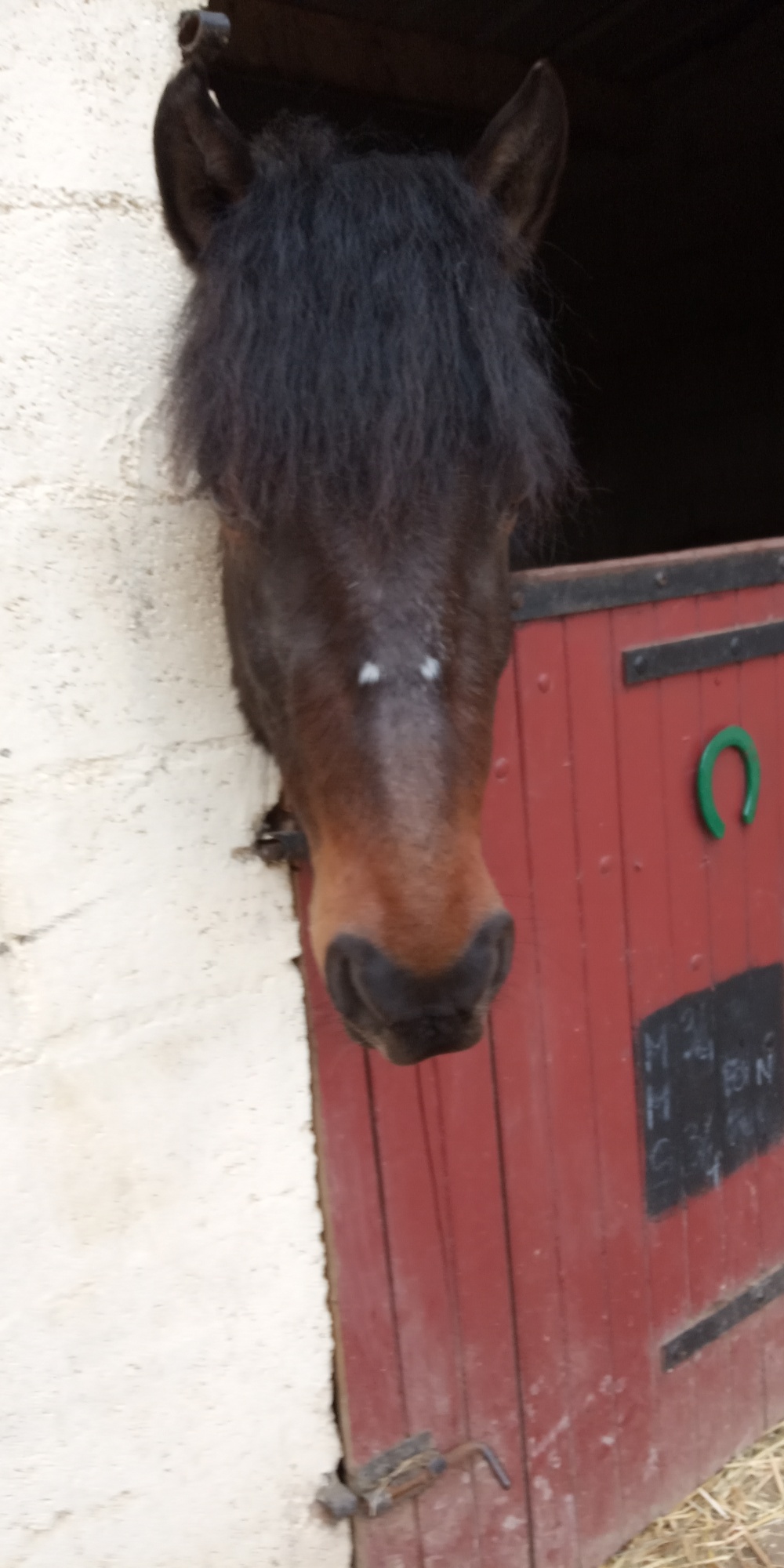 Photo n° 9 de l'avis de Cavalière.' fait le 30/06/2019 à 18:26