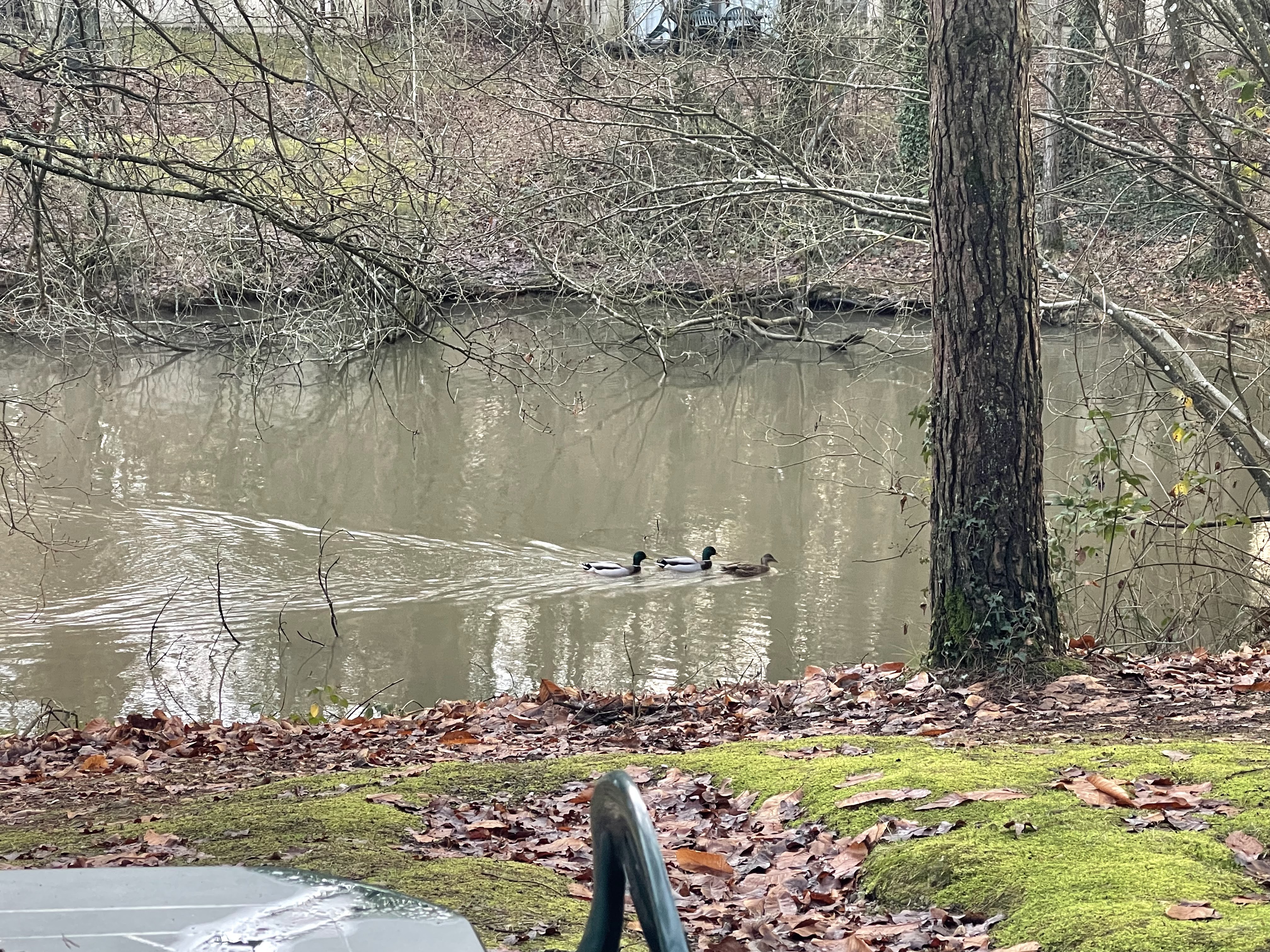 Photo n° 1 de l'avis de Céline. fait le 06/01/2024 à 14:16