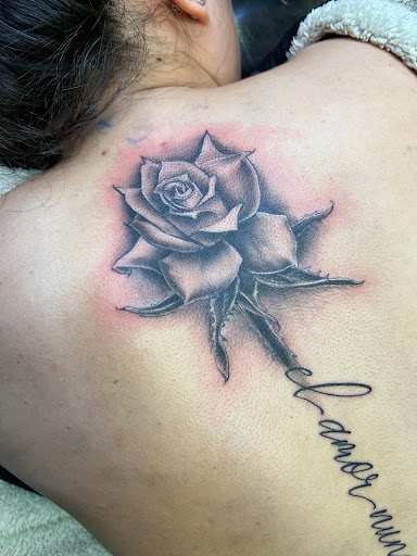 Explore small phoenix tattoo ideas, creative tattoo ideas in Spokane, available at DZ INK TATTOO PARLOR