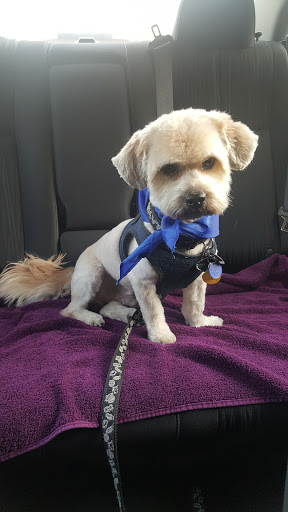 Pet Supply Store «PetSmart», reviews and photos, 44425 Town Center Way a, Palm Desert, CA 92260, USA