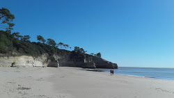 Photo de l'Arneche Beach avec un niveau de propreté de très propre