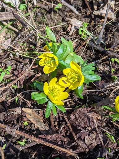 Park «Patawomeck Park», reviews and photos, 25 Chopawamsic Pkwy, Stafford, VA 22554, USA