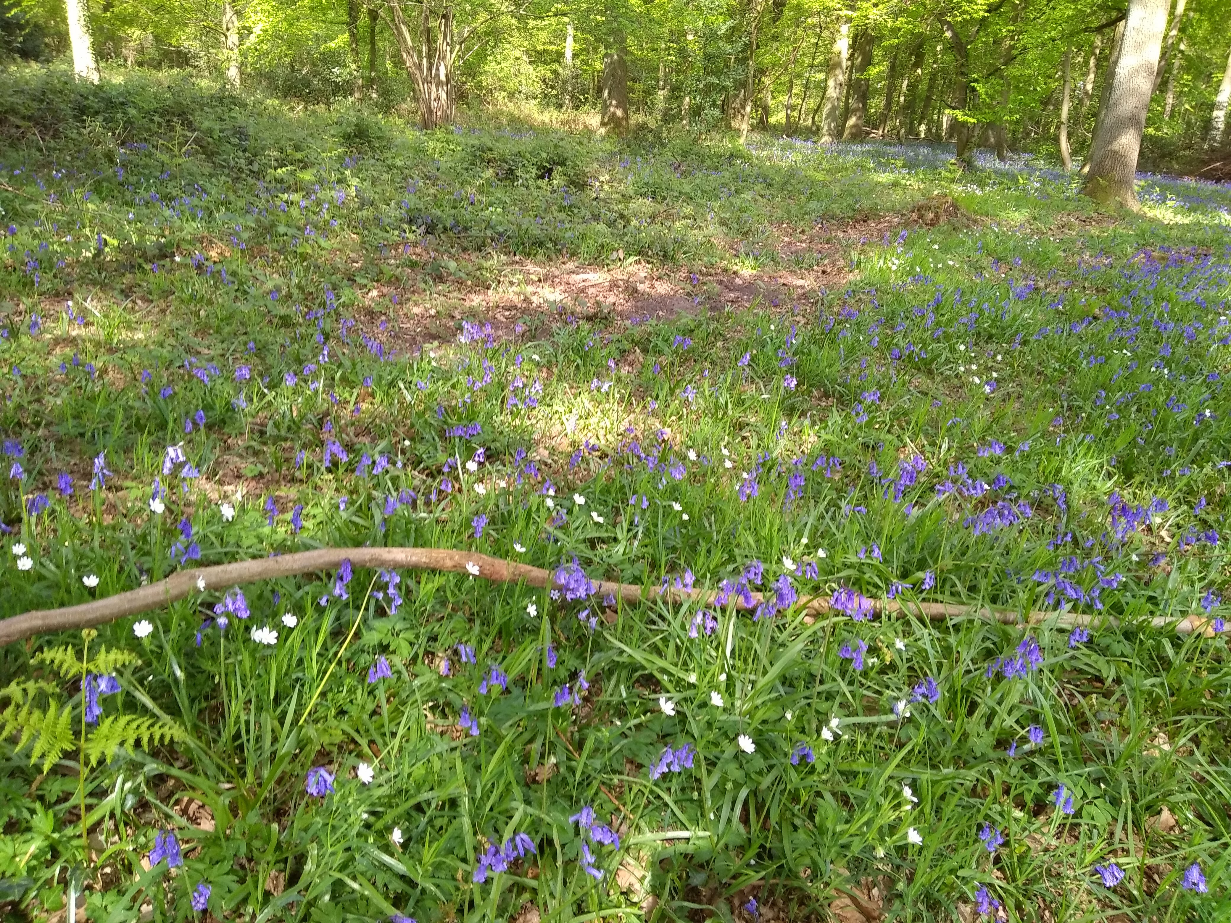 Photo n° 5 de l'avis de Le.� fait le 14/04/2017 à 16:34