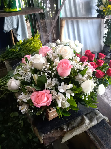 Floreria Rosita – Cuautla