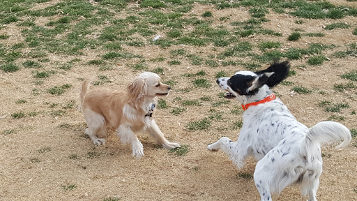 Park «Desert Breeze Park», reviews and photos, 8275 Spring Mountain Rd, Las Vegas, NV 89147, USA