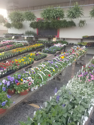 Grocery Store «Harvest Supermarket - Greensburg, Indiana», reviews and photos, 920 W 4th St, Greensburg, IN 47240, USA