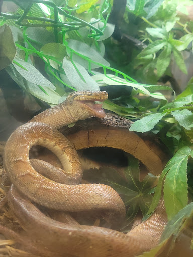 Pet Store «Animal Ark», reviews and photos, 2730 Brookdale Dr, Kingwood, TX 77339, USA