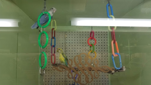 Pet Store «Pettin Place», reviews and photos, 1121 S Wells Ave, Reno, NV 89502, USA