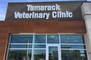 Tamarack Veterinary Clinic image