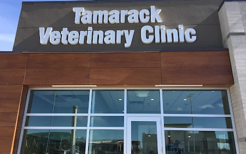 Tamarack Veterinary Clinic image