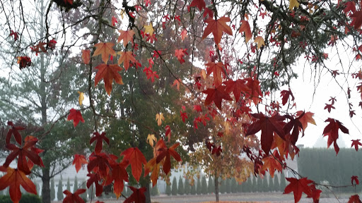 Golf Club «Emerald Valley Golf Club», reviews and photos, 83301 Dale Kuni Rd, Creswell, OR 97426, USA