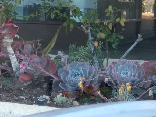 Tobacco Shop «Amsterdam Smoke Shop», reviews and photos, 5901 Warner Ave, Huntington Beach, CA 92649, USA