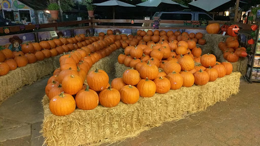 Market «Ben Lomond Market», reviews and photos, 9440 Mill St, Ben Lomond, CA 95005, USA