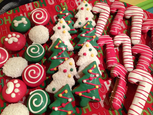 Pet Supply Store «Island Paws», reviews and photos, 630 Tarpon Bay Rd # 5, Sanibel, FL 33957, USA