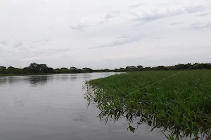 Salado River image