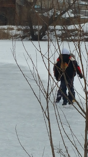 Park «Cary Park District», reviews and photos, 255 Briargate Rd, Cary, IL 60013, USA