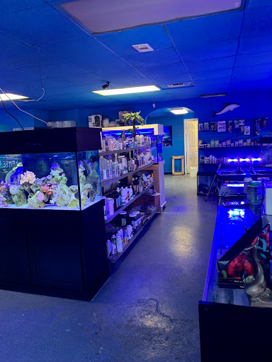 Tropical Fish Store «Saltwater Paradise», reviews and photos, 1313 W Airport Fwy, Irving, TX 75062, USA