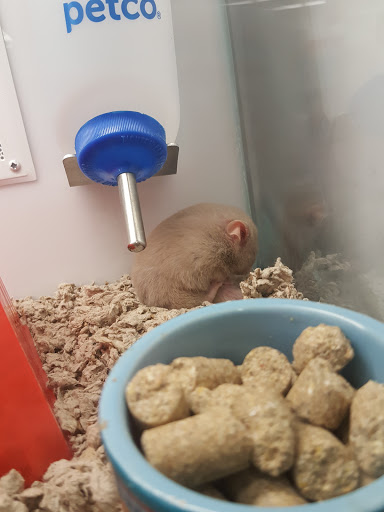 Pet Supply Store «Petco Animal Supplies», reviews and photos, 4751 W 29th St, Greeley, CO 80634, USA