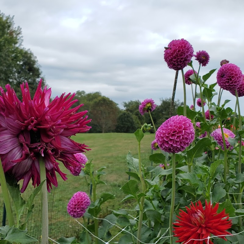 Montgomery County Master Gardener Demonstration Garden