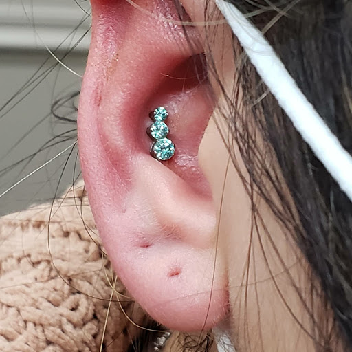 Explore branch tattoo ideas, creative tattoo ideas in Worcester, available at Piercing Emporium & Tattoo