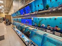 PetSmart - Photo 4 - Car repair in Liverpool, NY, Syracuse