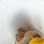 Photo n°2 de l'avis de Ana.a fait le 22/05/2023 à 00:22 sur le  Amici Del Rifugio Crucolo à Reggio Emilia