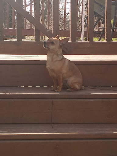 Pet Supply Store «Pet Supplies Plus», reviews and photos, 887 N Lexington-Springmill Rd, Mansfield, OH 44906, USA